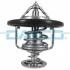 <strong>Термостат DAYCO DT1234V (фото 1)</strong>