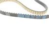 <strong>Роликовий модуль натягувача ременя (ролик, ремінь) DAYCO KBIO02 (фото 2)</strong>