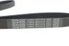 <strong>Комплект ременя генератора DAYCO KPV179 (фото 7)</strong>