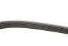 <strong>Комплект ременя генератора Renault Kangoo 1.5 dCi 09- DAYCO KPV224 (фото 3)</strong>