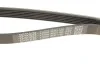 <strong>Комплект ременя генератора Renault Kangoo 1.5 dCi 09- DAYCO KPV224 (фото 4)</strong>