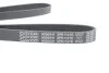 <strong>Роликовий модуль натягувача ременя (ролик, ремінь) DAYCO KPV279 (фото 7)</strong>