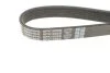 <strong>Комплект ременя генератора VW Caddy 2.0 TDI 15- DAYCO KPV288 (фото 2)</strong>