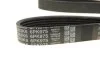 <strong>Роликовий модуль натягувача ременя (ролик, ремінь) DAYCO KPV333 (фото 5)</strong>