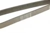 <strong>Роликовий модуль натягувача ременя (ролик, ремінь) DAYCO KPV436 (фото 5)</strong>