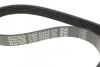 <strong>Комплект ременя генератора DAYCO KPV474 (фото 6)</strong>