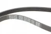 <strong>Комплект ременя генератора DAYCO KPV634 (фото 3)</strong>