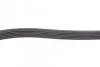 <strong>Комплект ременя генератора DAYCO KPV829 (фото 8)</strong>