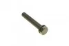 <strong>Роликовий модуль натягувача ременя (ролик, ремінь) DAYCO KTB494 (фото 6)</strong>
