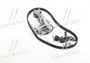 Комплект ГРМ (+ помпа + нат.ролик) Ford Focus 1.4/1.6 03- KTBWP4610