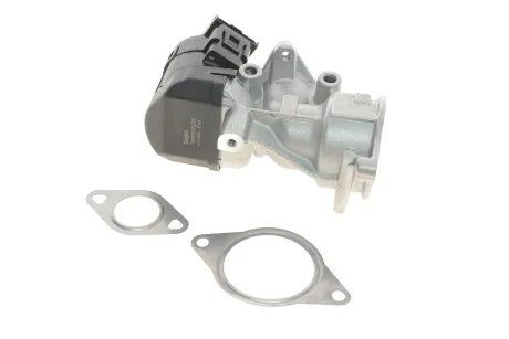 Клапан рециркуляції газів для Ford, Volvo, Peugeot, Citroen, Fiat DELPHI EG10396-12B1 фото товару