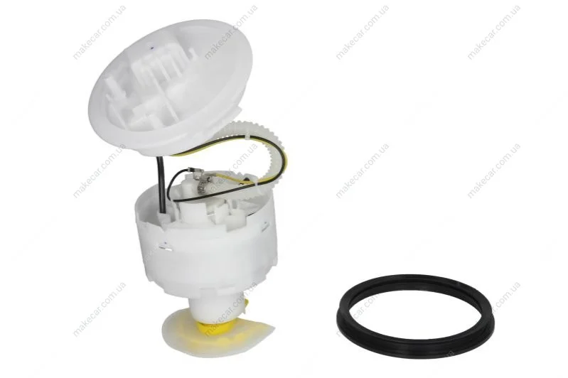 <strong>Паливний насос з фільтром DELPHI FG0978-12B1 (фото 1)</strong>