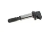 <strong>Катушка системи запалювання DELPHI GN10210-12B1 (фото 1)</strong>