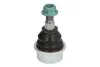 <strong>JEEP Шаровая опора нижняя Grand Cherokee 05- DELPHI TC3643 (фото 1)</strong>
