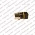 <strong>Датчик температури охолоджувальної рідини DELPHI TS10245-12B1 (фото 1)</strong>