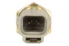 <strong>FORD Датчик температуры воды Focus,Mondeo,Transit DELPHI TS10294 (фото 2)</strong>