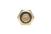 <strong>Датчик температури охолоджуючої рідини DELPHI TS10469 (фото 4)</strong>