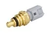 <strong>Датчик температури охолоджуючої рідини DELPHI TS10481 (фото 1)</strong>
