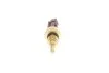 <strong>Датчик температури охолоджуючої рідини DELPHI TS10509 (фото 3)</strong>