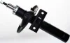 <strong>Ам-тор перед. газ. VW Sharan 96-10 /Ford Galaxy 95 DENCKERMANN DSB124G (фото 1)</strong>