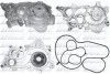 <strong>Насос системи охолодження DOLZ A234 (фото 1)</strong>