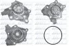 <strong>Насос водяний DOLZ A243 (фото 1)</strong>