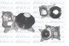 <strong>Насос охолоджуючої рідини (вир-во) DOLZ B251 (фото 1)</strong>