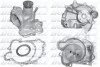 <strong>Насос водяний DOLZ M242 (фото 1)</strong>