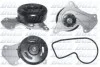 <strong>Водяний насос Dacia Logan II 1.0 16-/Renault Clio V 1.0 19- DOLZ N163 (фото 1)</strong>