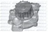 <strong>Водяний насос DOLZ R302 (фото 1)</strong>