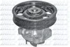 <strong>Водяний насос DOLZ S233 (фото 1)</strong>