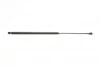 <strong>Амортизатор кришки багажника DP Group 270.0032 (фото 1)</strong>