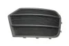 <strong>Грати протитуманної фари правої (чорна) Audi Q3 (11-) DPA 88071822302 (фото 1)</strong>