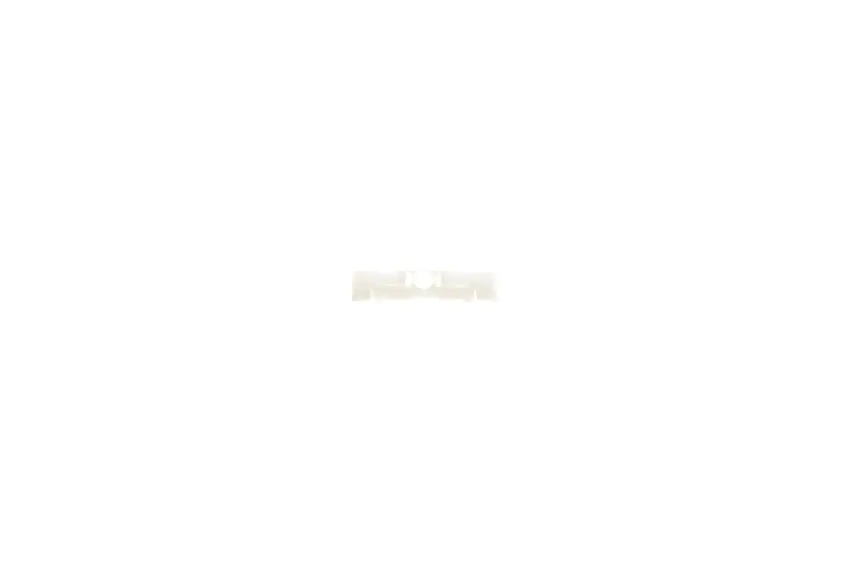 <strong>Кріплення молдинга даху DPA 88530130102 (фото 1)</strong>