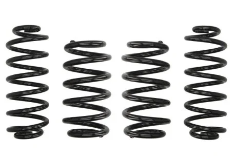 Комплект занижених пружин (30mm / 25mm) (1255kg / 1360kg) AUDI Q5 2.0-3.2 для EIBACH E10150130122 фото товару