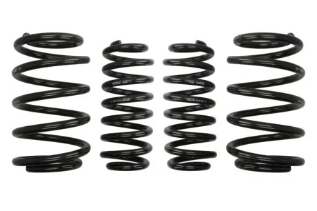 Занижуючі пружини, Pro-Kit, 4шт, (30мм / 30мм) (1250кг / 1630кг) BMW X5 (E53) 3.0D 04.01-09.06 для EIBACH E10200090222 фото товару