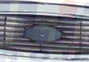 Решетка радиатора ELIT 2554 990 (фото 1)