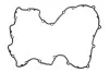 <strong>Прокладка, кришка головки циліндра ELRING 246.160 (фото 1)</strong>
