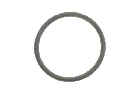 Прокладка термостату для Opel, Vauxhall ELRING 330.876 фото товару
