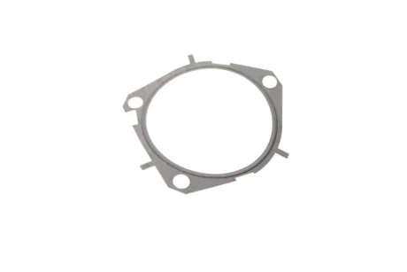 Прокладка помпи для Opel, Fiat, Lancia, Alfa Romeo, Jeep ELRING 453.970 фото товару