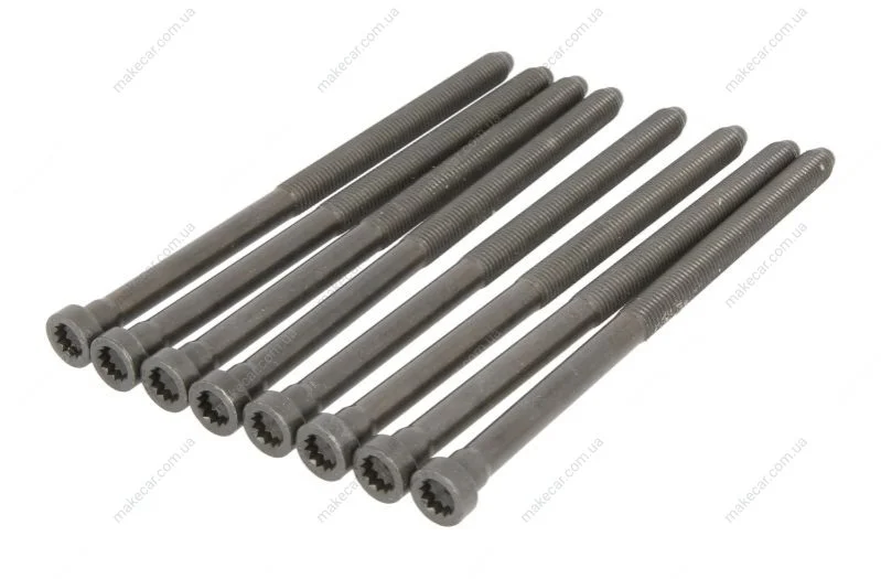 <strong>Комплект болтів з головкою системи TORX з чорного металу ELRING 527.770 (фото 1)</strong>