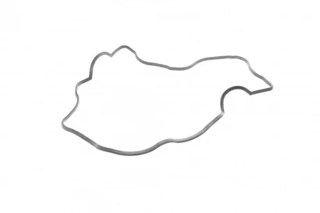 Прокладка клапанної кришки для Hyundai, Chevrolet, KIA, Opel, Vauxhall ELRING 539.440 фото товару