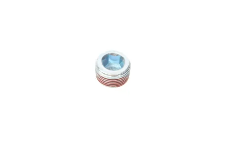 Пробка, оливний піддон M22x1,5x13,0 I6K SW12 для Fiat, Citroen, Ford, Lancia, Alfa Romeo ELRING 587100 фото товару