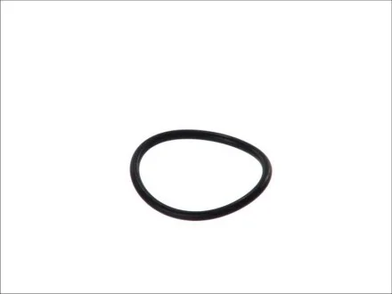 Кільце гумове для ELRING 761.109 фото товару