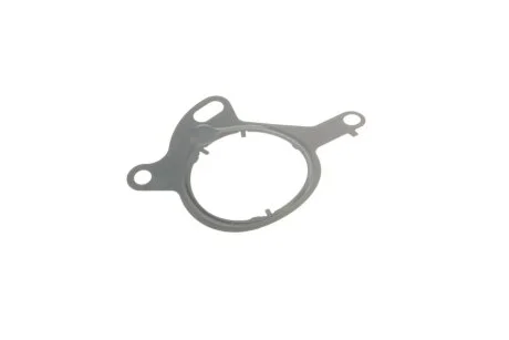 Набір прокладок вакуумного насоса VOLVO S60 II, S80 II, V40, V60 I, V70 III FORD C-MAX II, FIESTA VI, FIESTA VII, FOCUS III, FOCUS III/HATCHBACK, GALAXY II, GALAXY MK II 1.0-1.6ALK 04.10- для ELRING 767.120 фото товару