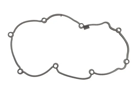 Прокладка кришки головки блоку VAG 2,0 TDI 16V DSRA/DSRB/DTSA/DTSB (вир-во Elring) для Audi ELRING 786.210 фото товару