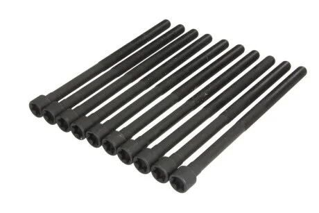 Комплект болтів ГБЦ BMW 1 (F20), 1 (F21), 2 (F22, F87), 2 (F23), 2 (G42, G87), 3 (F30, F80), 3 (F31), 3 (G20, G80, G28), 3 (G21), 3 (G21, G81), 3 GRAN TURISMO (F34), 4 (F32, F82) 2.0/2.0H 07.15- для ELRING 794470 фото товару