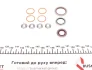 <strong>Комплект прокладок двигуна PEUGEOT/CITROEN/FIAT/TOYOTA Partner,Berlingo,Xsara,206,306,Corolla 1,9 98 ELRING 896.710 (фото 15)</strong>