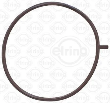 Прокладка, корпус впускного колектора для ELRING 926.000 фото товару