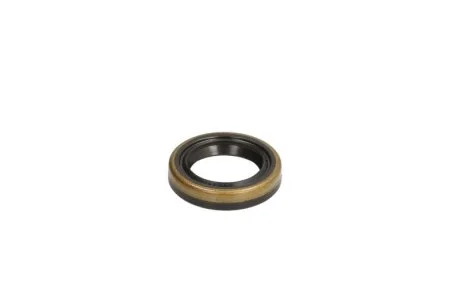 Елемент насосу Common Rail для ENGITECH ENT210012 фото товара